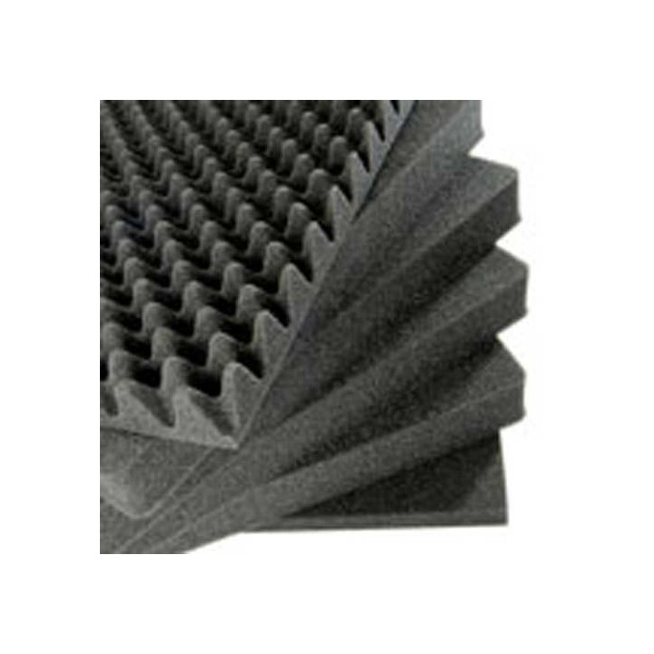 0551,6-PC,FOAM SET,PELI