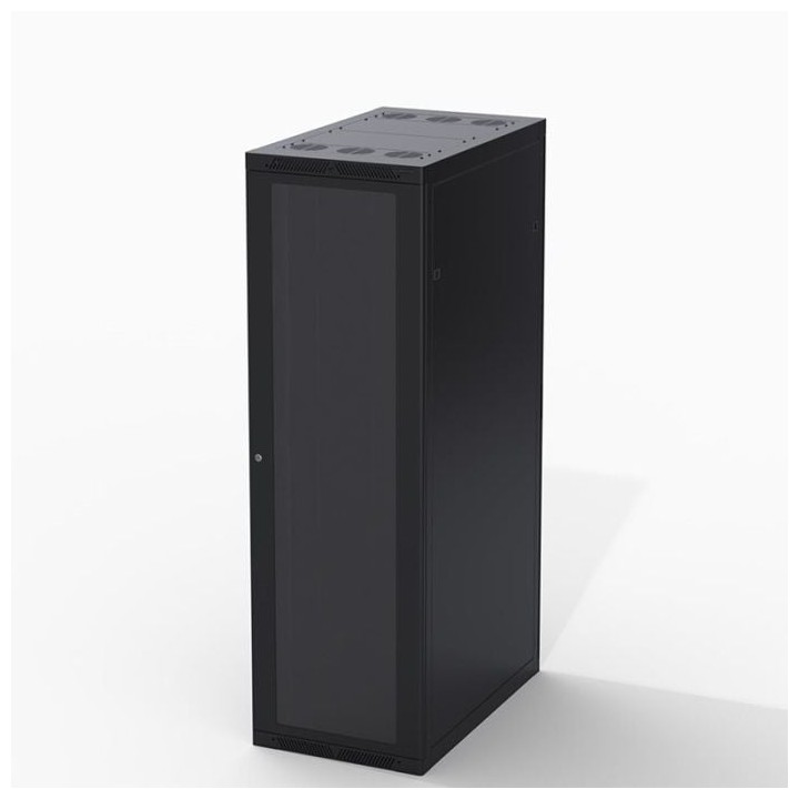 42U Server Enclosure / M6 Rails / 600mm x 1000mm / Poly Door