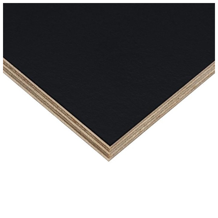 6.5mm High Quality Birch Wood Panels with Black HPL Coating