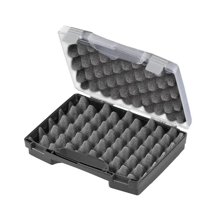 Black-Transparent lid, Polypropylene case mm. 260 x 210 x 60 with 2 egg foams