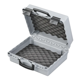 Gray metallic, Polypropylen case mm. 340 x 298 x 160 with two egg foams