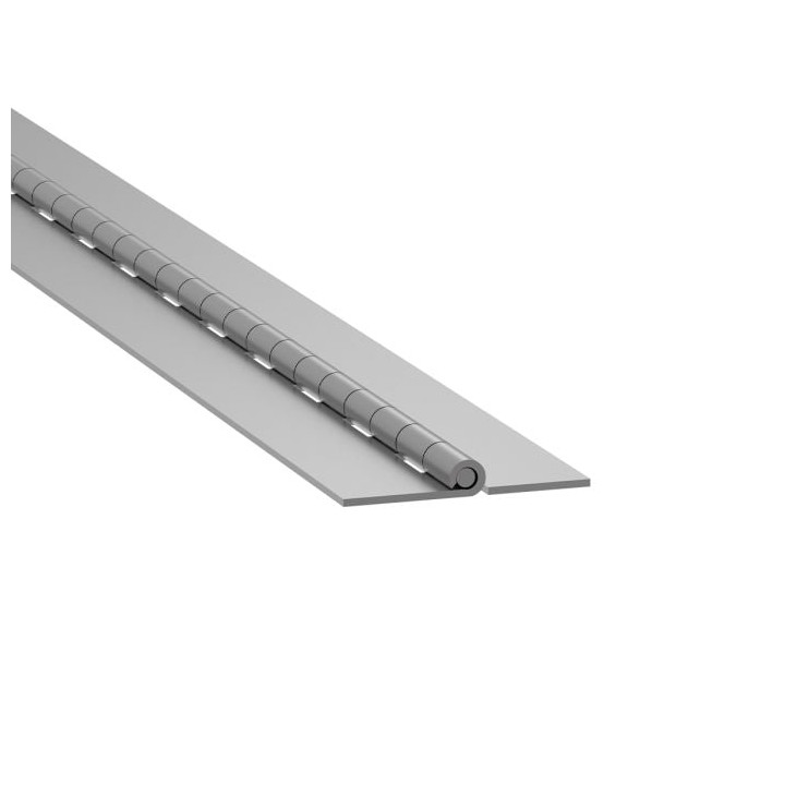 Heavy Duty Piano Hinge with Removable Pin - 38.1mm Leaf