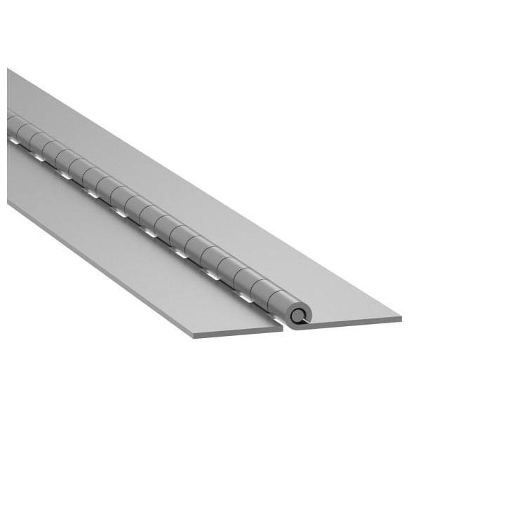 Heavy Duty Piano Hinge with Removable Pin - 50.8mm Leaf