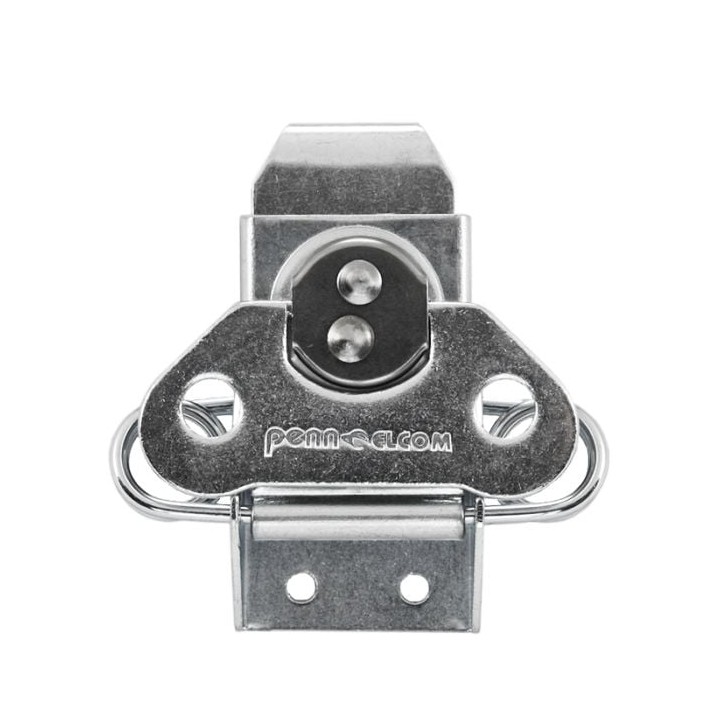 Large Stainless Steel Surface Latch with Flat Cam
