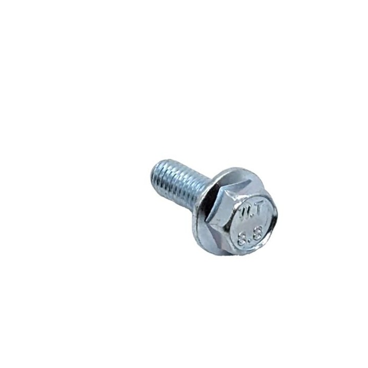 M6 Hex Bolt Screw with Fixed Ring - 16mm Long