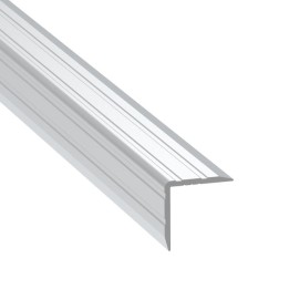 Single Angle Extrusion with 19mm Legs - 2m Long