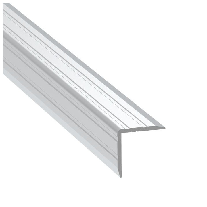 Single Angle Extrusion with 19mm Legs - 2m Long