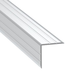 Single Angle Extrusion with 25mm Legs - 2m Long